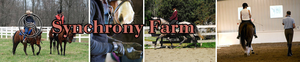 Synchrony Farm: horse lessons, training, and boarding in Saline, MI