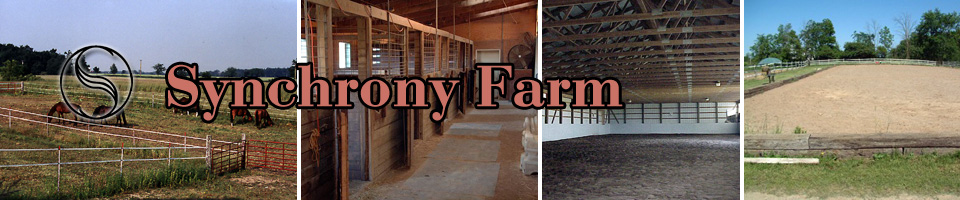 Synchrony Farm: horse lessons, training, and boarding in Saline, MI