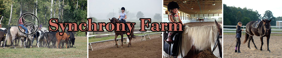 Synchrony Farm: horse lessons, training, and boarding in Saline, MI