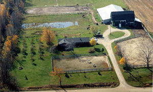 Synchrony Farm offers a wide array of equine training and lessons.