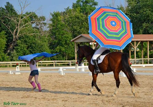 Julie and Magic Moment at Waterloo Dressage Show during fun freestyle to 'Ghostbusters' music