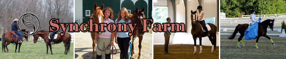 Synchrony Farm: horse lessons, training, and boarding in Saline, MI