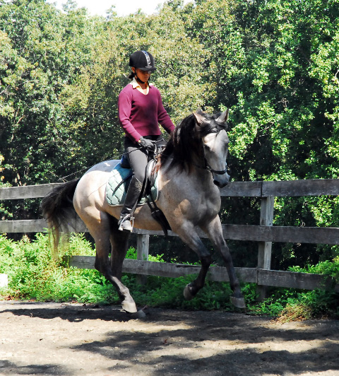 Julie riding Keegan with Bettina Drummond