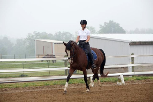 Taking a riding lesson