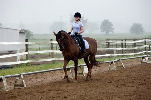 Lucy riding Mon Frere with Maryal Barnett