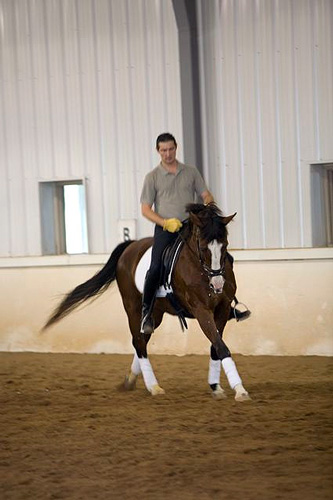 Rudi Rostek of the Spanish Riding School riding Magic Moment