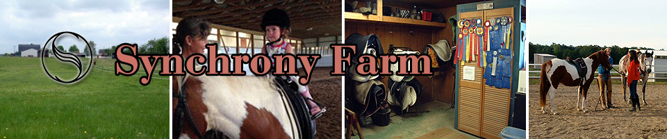 Synchrony Farm: horse lessons, training, and boarding in Saline, MI