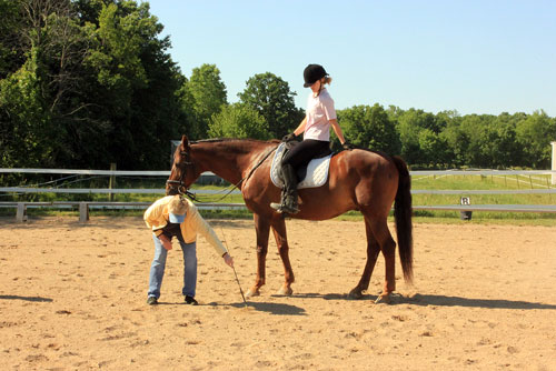 Maryal Barnett gives instructions to Aislin to prepare  Waterloo Dressage Show